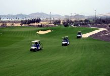 Chơi golf “chui” giữa mùa dịch, Giám đốc Sở, Cục phó Cục thuế và 2 đại gia ở Bình Định thành F1