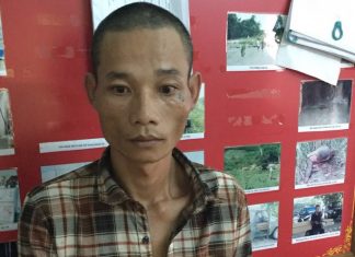 Khởi tố hình sự đối với tài xế chở gỗ lậu, nghiện ma túy, đâm xe vào tổ CSGT
