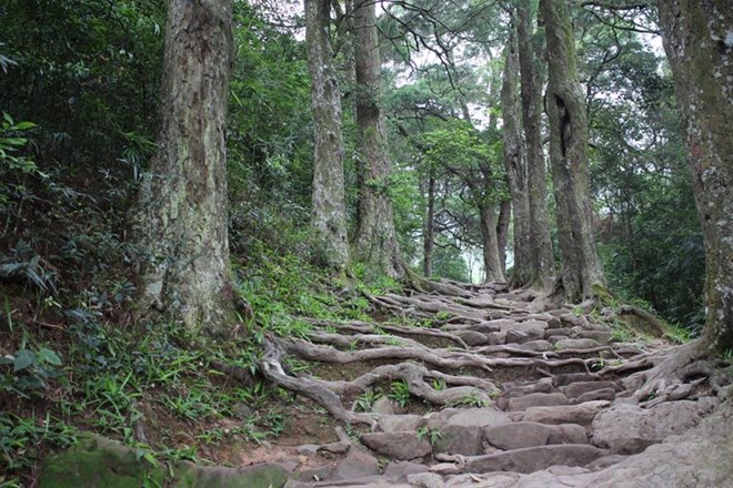 Côn Sơn Kiếp Bạc