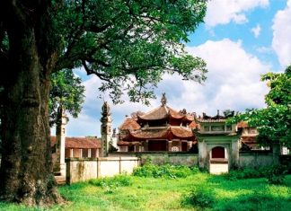 Nguyễn Thị Lộ – Tác giả: Nguyễn Huy Thiệp