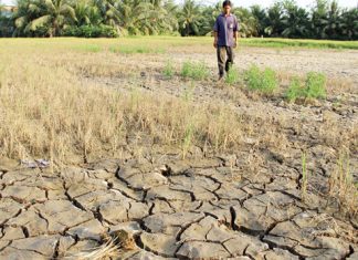 Thái Lan sẽ trữ nước sông Mekong, Việt Nam thiệt nhiều nhất
