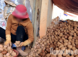 Nông sản Trung Quốc đội lốt Đà Lạt, bán giá cao gấp nhiều lần